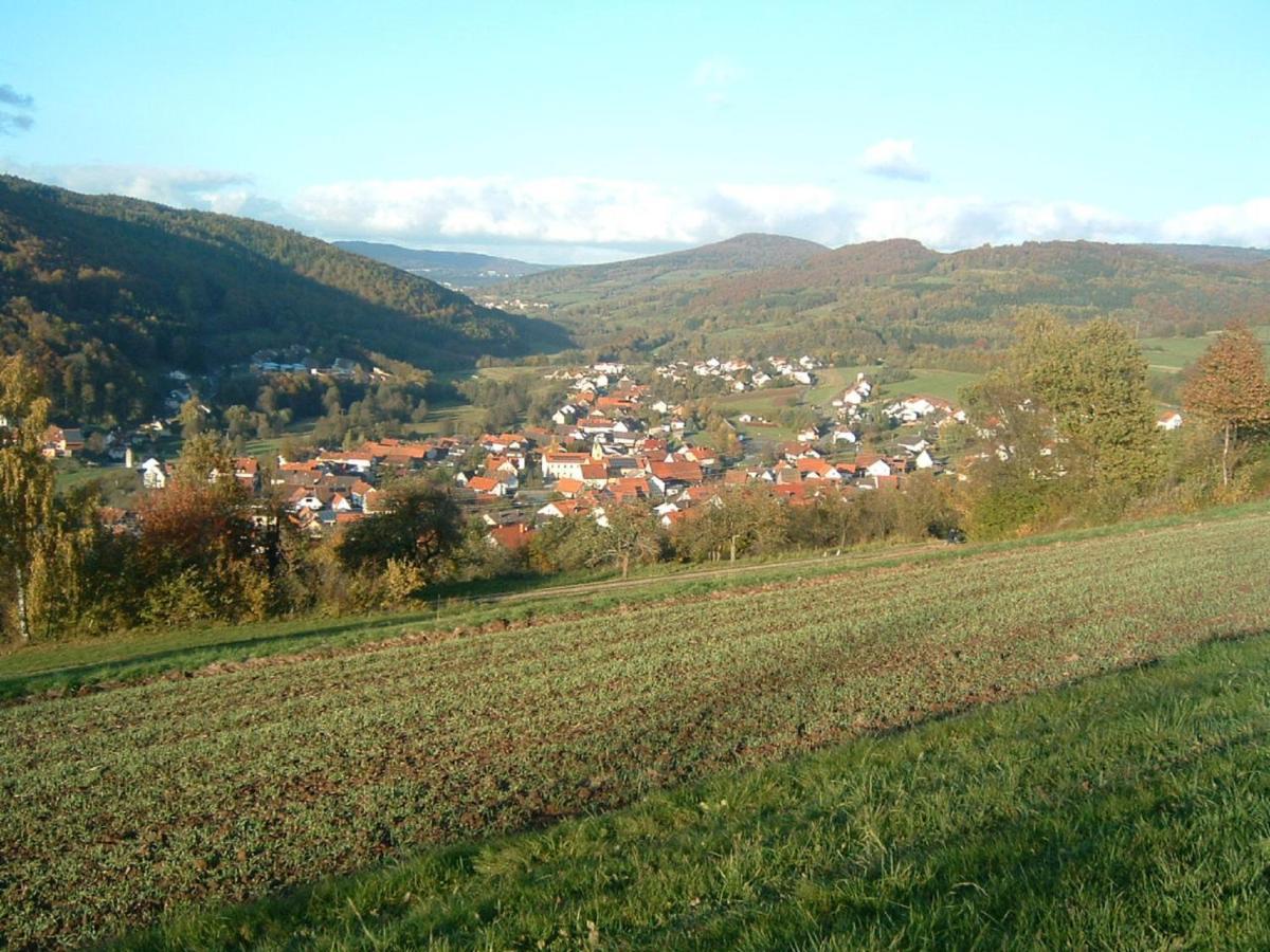 Ferienwohnung Hergenroeder Riedenberg  Bagian luar foto